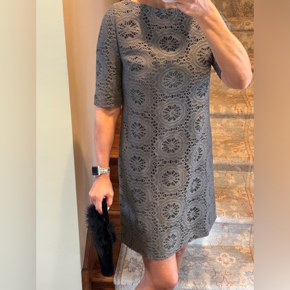 Adrianna Papell Lace Gray Dress